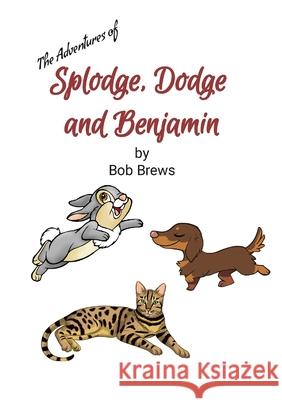 Splodge, Dodge and Benjamin: The Adventures of... Bob Brews 9781447865148 Lulu.com - książka