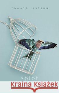 Splot słoneczny Jastrun Tomasz 9788381430005 Czarna Owca - książka