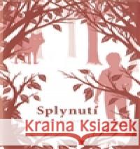 Splynutí Maggie Stiefvaterová 9788025705148 Argo - książka