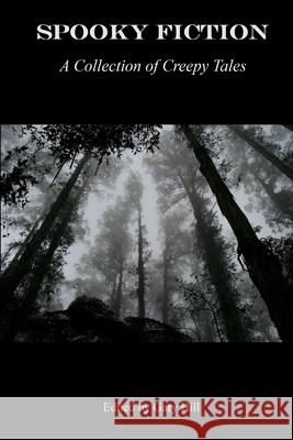 Spooky Fiction: A Collection of Creepy Tales Gary Hill 9780359850853 Lulu.com - książka