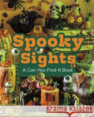 Spooky Sights: A Can-You-Find-It Book Sarah L. Schuette 9781977126221 Pebble Books - książka