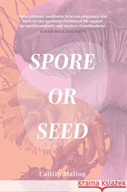 Spore or Seed Caitlin Maling 9781760992590 Fremantle Press - książka