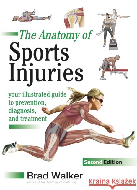 Sports Injuries: Your Illustrated Guide to Prevention, Diagnosis and Treatment Brad Walker 9781905367382 Lotus Publishing Limited - książka