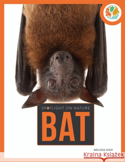 Spotlight on Nature: Bat Melissa Gah 9781682770320 Creative Company,US - książka