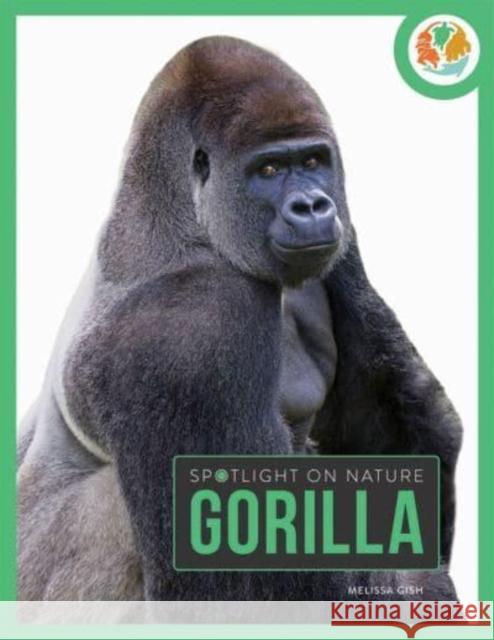 Spotlight on Nature: Gorilla Melissa Gah 9781682770337 Creative Company,US - książka