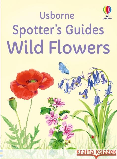 Spotter's Guides: Wild Flowers Sarah Russell 9781805073017 Usborne Publishing Ltd - książka
