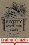 Spotty the Bower Bird: and other nature stories Edward S Sorenson 9781925729979 Living Book Press