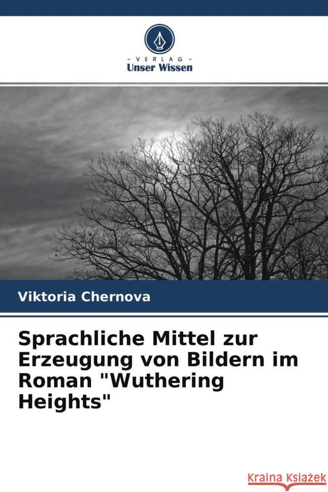 Sprachliche Mittel zur Erzeugung von Bildern im Roman 