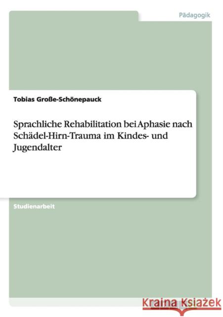 Sprachliche Rehabilitation bei Aphasie nach Schädel-Hirn-Trauma im Kindes- und Jugendalter Tobias Grosse-Schonepauck 9783656647454 Grin Verlag Gmbh - książka