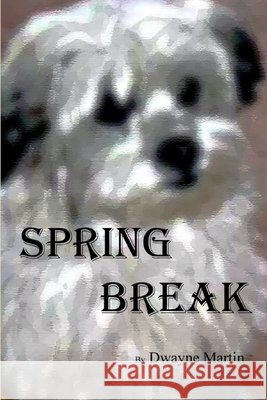 Spring Break Dwayne Martin 9781257647057 Lulu.com - książka
