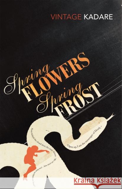Spring Flowers, Spring Frost Ismail Kadare 9780099449836 Vintage Publishing - książka