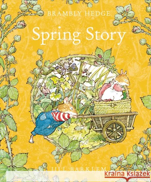 Spring Story Jill Barklem 9780001839229  - książka