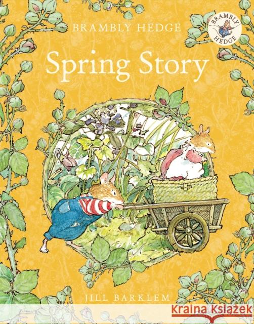 Spring Story Jill Barklem 9780007461547 HarperCollins Publishers - książka