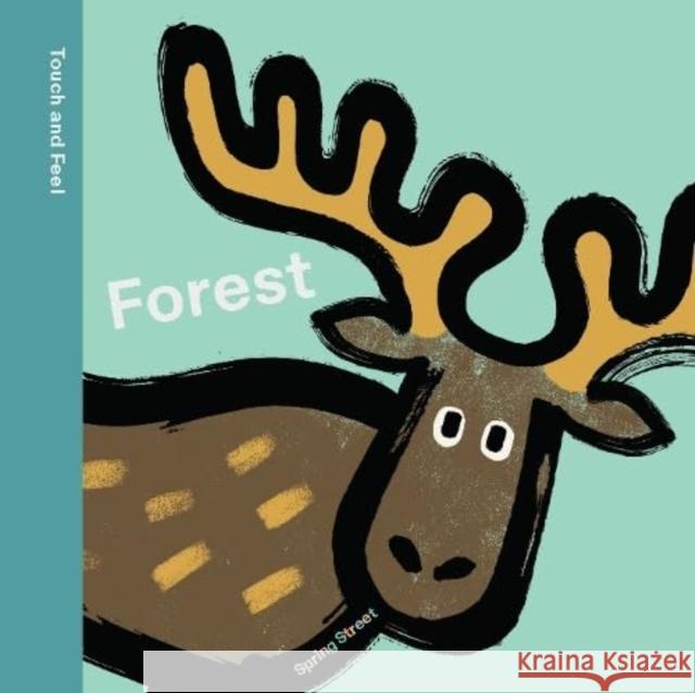 Spring Street Touch and Feel: Forest Boxer Books 9781454711766 Lark Books,U.S. - książka