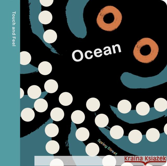 Spring Street Touch and Feel: Ocean Boxer Books 9781454711773 Lark Books,U.S. - książka