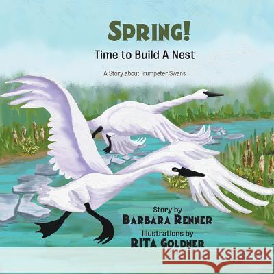 SPRING! Time to Build a Nest, A Story about Trumpeter Swans Renner, Barbara 9780999058633 Renner Writes - książka