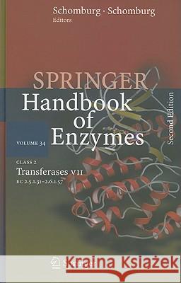 Springer Handbook of Enzymes, Volume 34: Class 2 Transferases VII: EC 2.5.1.31 - 2.6.1.57 Schomburg, Dietmar 9783540365099 Springer - książka