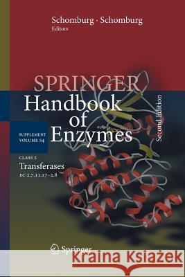 Springer Handbook of Enzymes, Volume S4: Supplement, Class 2 Transferases Chang, Antje 9783662518854 Springer - książka