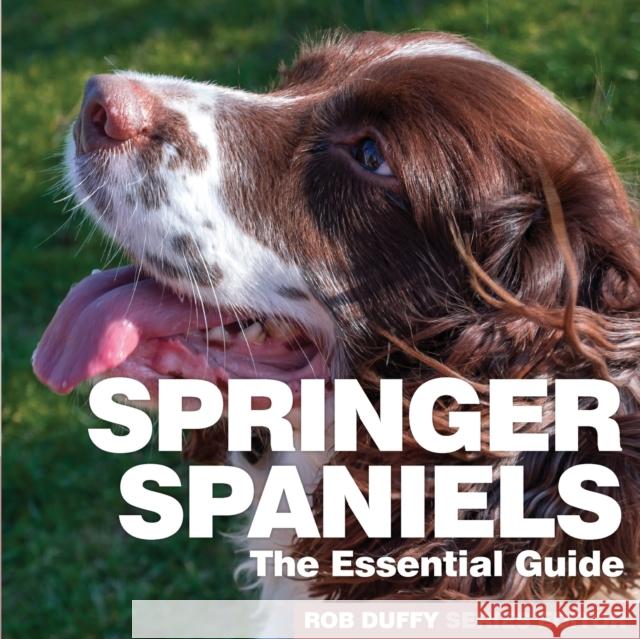 Springer Spaniels: The Essential Guide Robert Duffy 9781910843437 BX Plans Ltd - książka