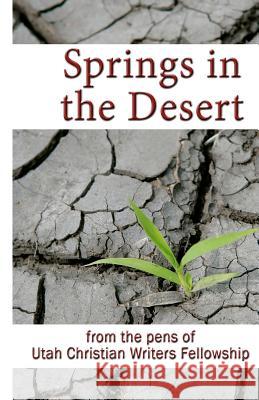 Springs in the Desert: from the pens of Utah Christian Writers Fellowship Utah Christian Writers Fellowship 9781937671037 Next Step Books - książka