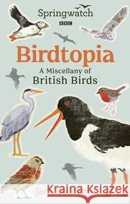 Springwatch: Birdtopia Jack Baddams 9781785948688 Ebury Publishing - książka