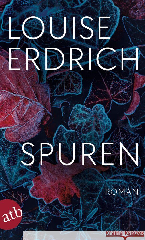 Spuren Erdrich, Louise 9783746639895 Aufbau TB - książka