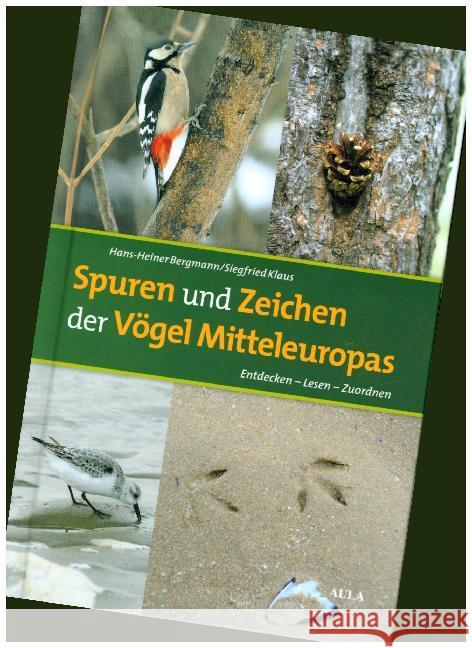 Spuren und Zeichen der Vögel Mitteleuropas : Entdecken - Lesen - Zuordnen Bergmann, Hans-Heiner; Klaus, Siegfried 9783891047910 Aula - książka