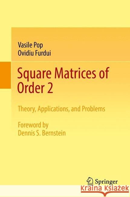 Square Matrices of Order 2: Theory, Applications, and Problems Pop, Vasile 9783319549385 Springer - książka