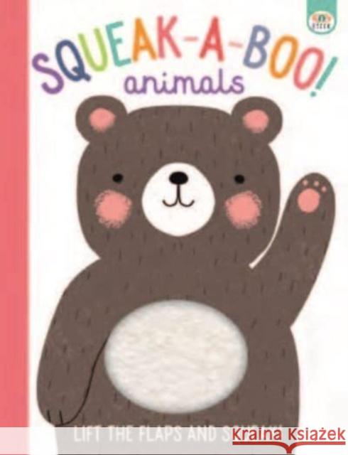 Squeak-A-Boo! Baby Emma Munroe Smith, Sally Garland 9781915458797 iSeek Ltd - książka