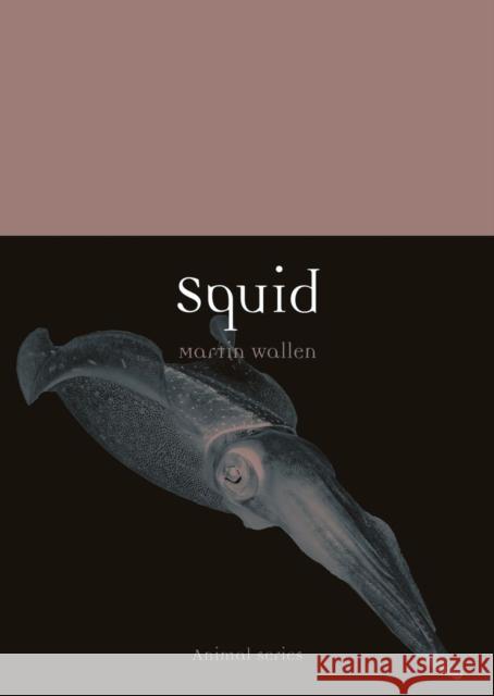 Squid Martin Wallen 9781789143348 Reaktion Books - książka