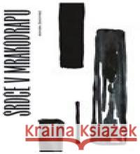 Srdce v mrakodrapu Bohumil Ždichynec 9788087200070 Aesculapus - książka