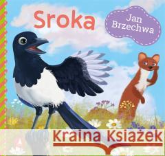 Sroka Jan Brzechwa 9788382072709 Skrzat - książka