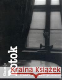 Staří muži o půlnoci Chaim Potok 9788072034864 Argo - książka