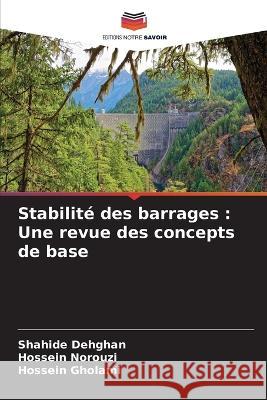 Stabilit? des barrages: Une revue des concepts de base Shahide Dehghan Hossein Norouzi Hossein Gholami 9786205830895 Editions Notre Savoir - książka