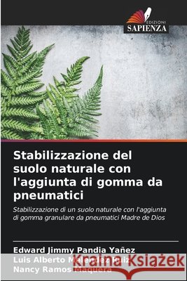 Stabilizzazione del suolo naturale con l'aggiunta di gomma da pneumatici Edward Jimmy Pandi Luis Alberto Melende Nancy Ramos Maquera 9786207697281 Edizioni Sapienza - książka