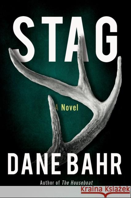 Stag: A Novel Dane Bahr 9781640096226 Counterpoint - książka