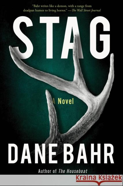 Stag: A Novel Dane Bahr 9781640096967 Counterpoint LLC - książka