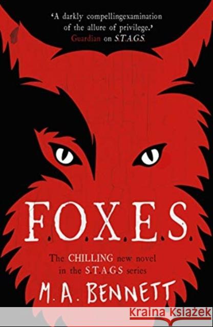STAGS 3: FOXES M A Bennett 9781471408595 Hot Key Books - książka