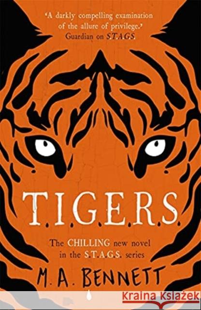 STAGS 4: TIGERS M A Bennett 9781471408687 Hot Key Books - książka