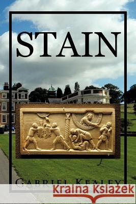 Stain Gabriel Kealey 9781479748846 Xlibris Corporation - książka