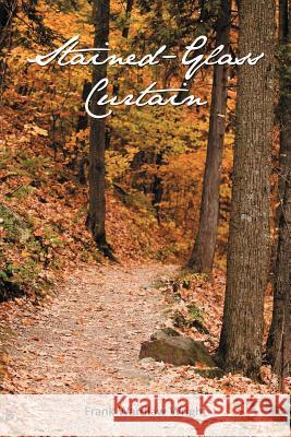 Stained-Glass Curtain Frank Wardlaw Wright 9781475944396 iUniverse.com - książka