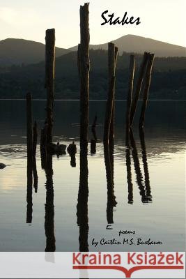 Stakes Caitlin M. S. Buxbaum 9781733267700 Red Sweater Press - książka