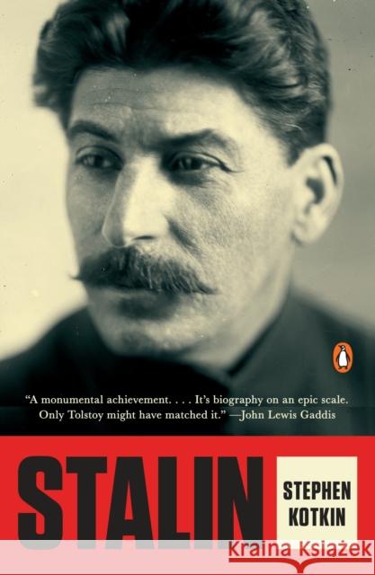 Stalin: Paradoxes of Power, 1878-1928 Stephen Kotkin 9780143127864 Penguin Books - książka