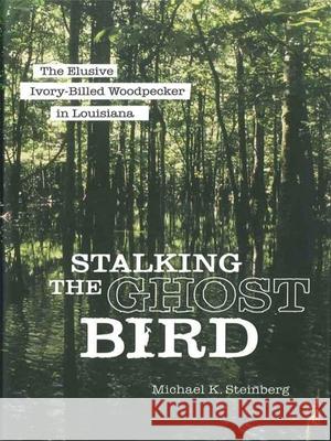 Stalking the Ghost Bird: The Elusive Ivory-Billed Woodpecker in Louisiana Michael K. Steinberg 9780807133057 Louisiana State University Press - książka