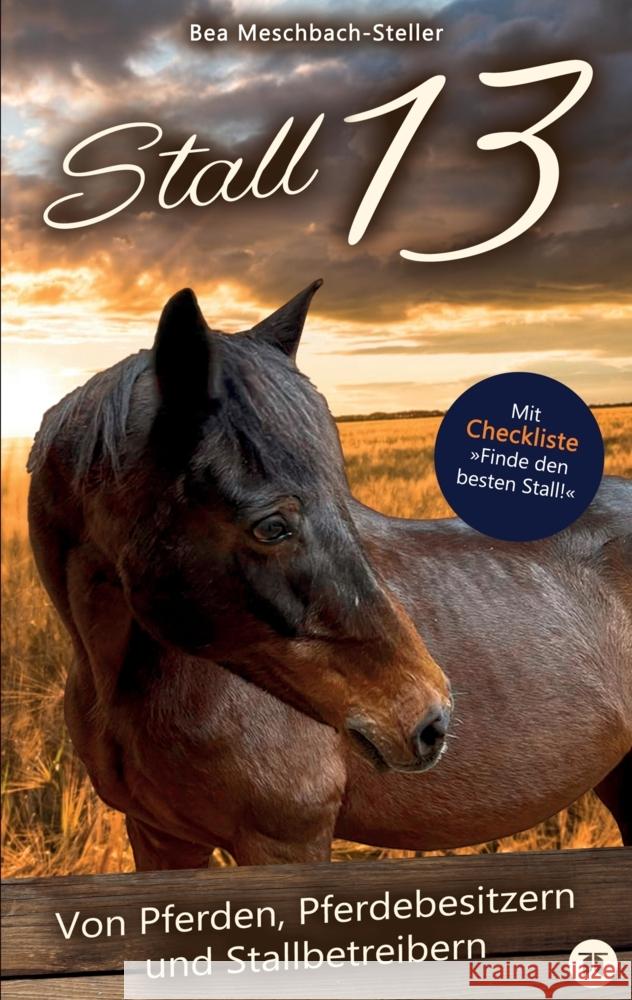Stall 13 Meschbach-Steller, Bea 9783347705944 tredition - książka