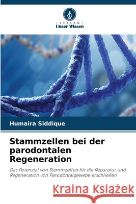 Stammzellen bei der parodontalen Regeneration Humaira Siddique 9786630084009 Verlag Unser Wissen - książka