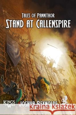 Stand at Callenspire Joshua Reynolds 9781958872840 Zmok Books - książka