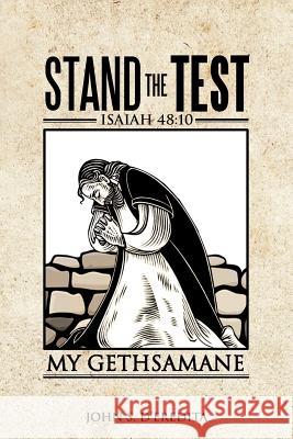 Stand the Test: Isaiah 48:10 D'Eredita, John S. 9781477255780 Authorhouse - książka