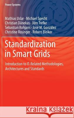 Standardization in Smart Grids: Introduction to It-Related Methodologies, Architectures and Standards Uslar, Mathias 9783642349157 Springer - książka