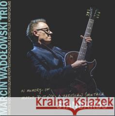 Standards Płyta winylowa Wądołowski Marcin , Lemańczyk Piotr , Hornby Tyler 5901571099767 Soliton - książka